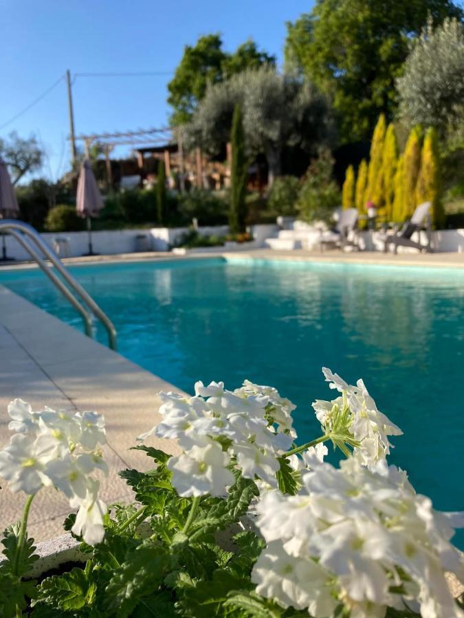 Porturama Bed & Breakfast Mouronho Екстериор снимка