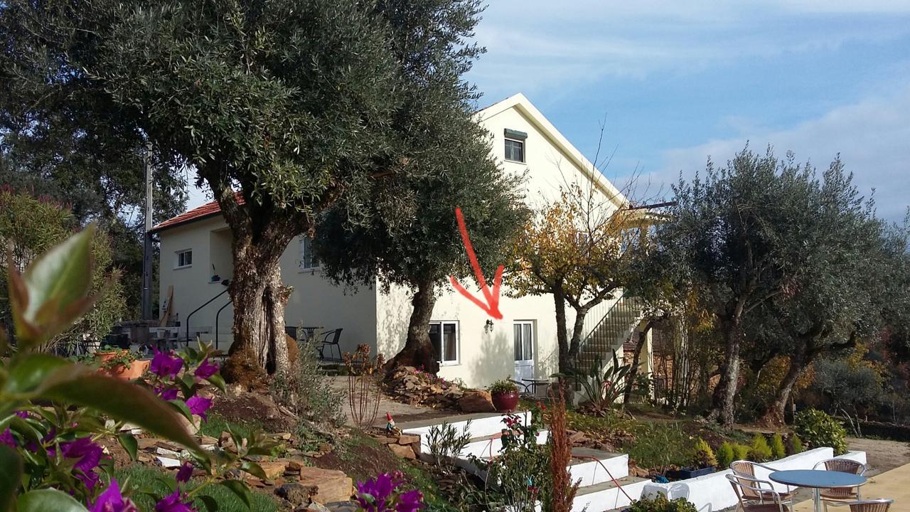 Porturama Bed & Breakfast Mouronho Екстериор снимка